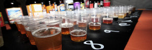 MDM Octoberfest Beer Tasting Blog Header